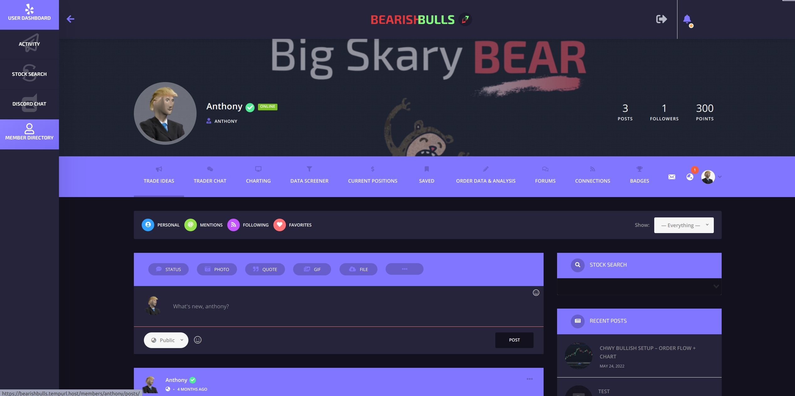 Bearish bulls trader dashboard